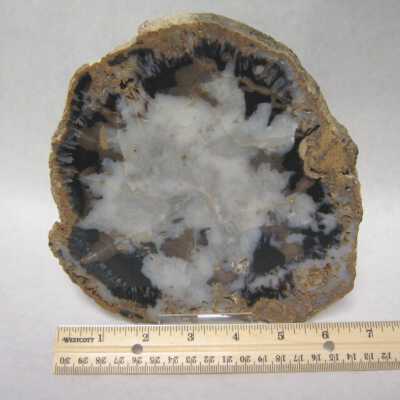 Limb Cast