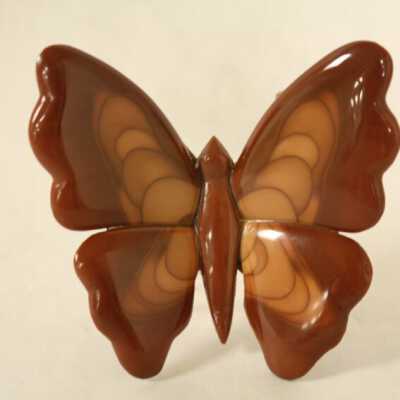 Bruneau Butterfly