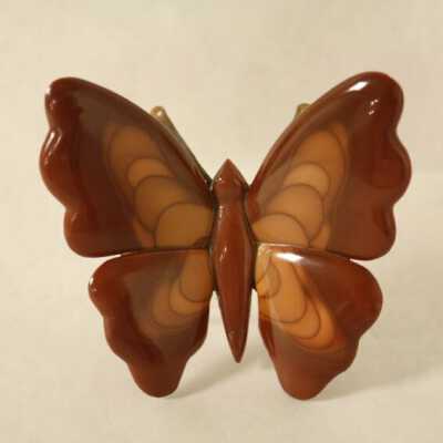 Bruneau Butterfly