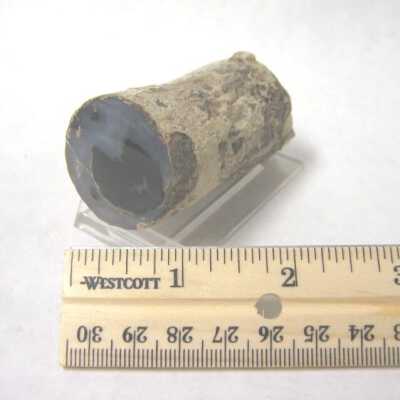 Limb Cast
