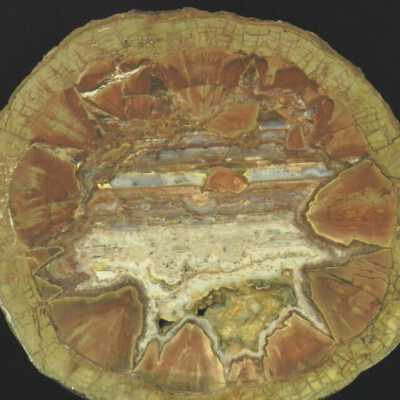 Thunderegg