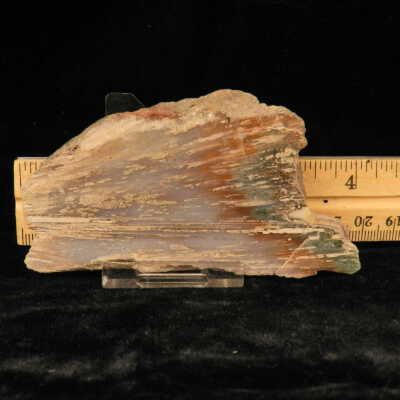 Quartz var. Agate (sagenite)