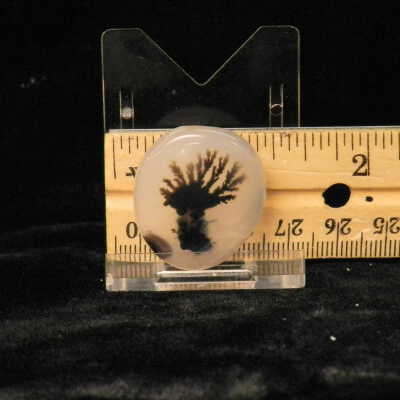 Dendritic Agate