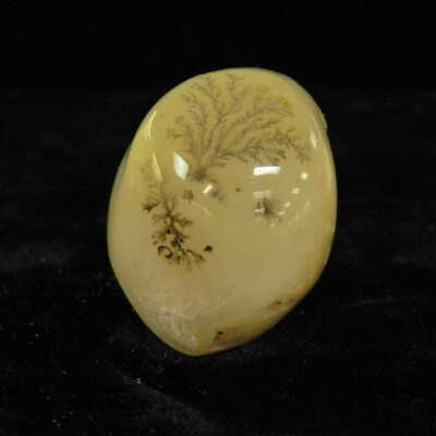 Quartz var. Agate