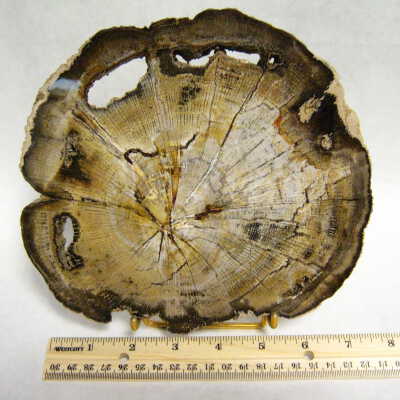 Oak