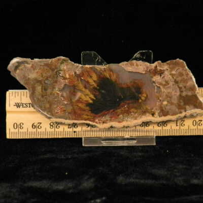 Plume Agate