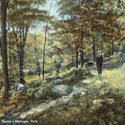 Ravine - Mohegan Park, Norwich, Conn.