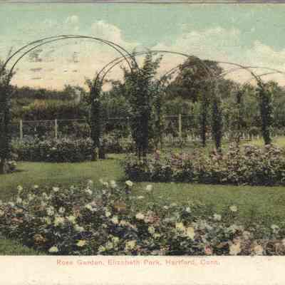 Postcard of Rose Garden, Elizabeth Park, Hartford, CT.