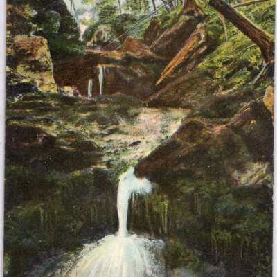 Bailey's Ravine Norwich, Conn Postcard