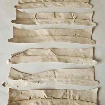 Six Arrow detachable collars.