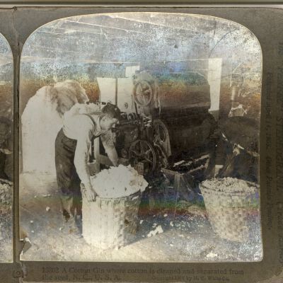 Stereograph of Cotton Gin