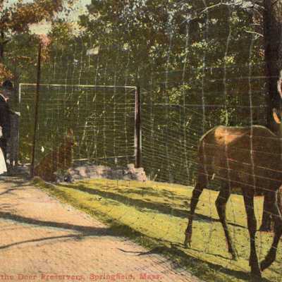 Deer Preservers, Springfield, Mass.