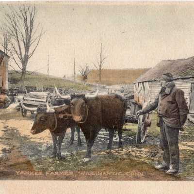 Yankee Farmer Postcard, Willimantic