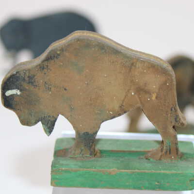 Bison 1