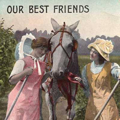 Our Best Friends, Postcard