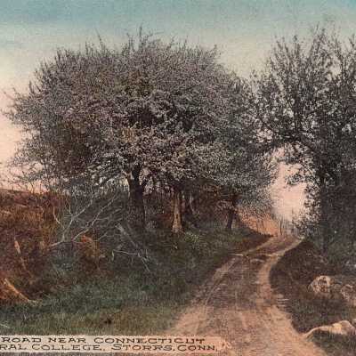 Country Road, Conn. Ag. College, Storrs, Conn.
