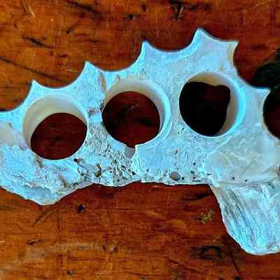 Piece of Nacre (Mother of Pearl) from Which Buttons Have Been Cut (Bottom): The image shows a piece of white, iridescent nacre from the inside of a mollusk shell with a knuckle-like formation, featuring three circular holes and jagged, textured edges, displayed on a wooden surface.