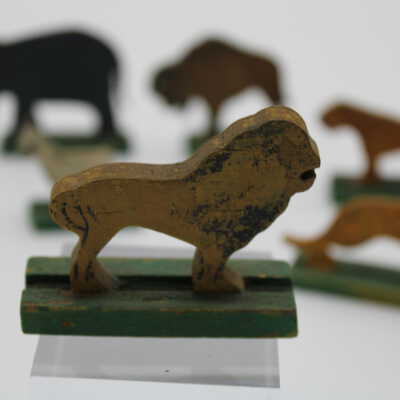 Lion, male