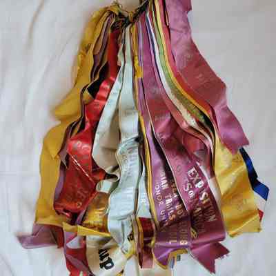 BSA Troop 32 Award Ribbons 1964-1977