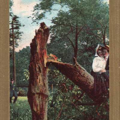 Couple on a Tree, Postcard