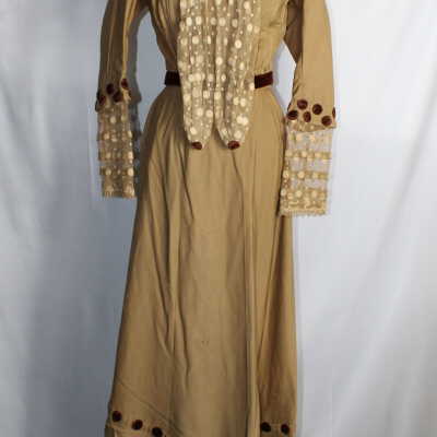 1890's Afternoon Dress/Ensemble