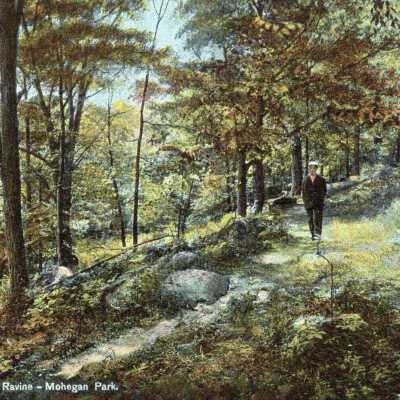 Ravine - Mohegan Park, Norwich, Conn.