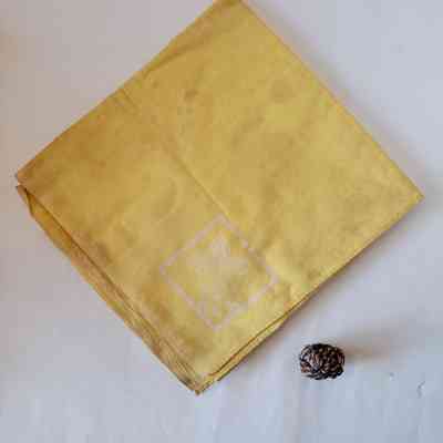 BSA Neckerchief and Clasp