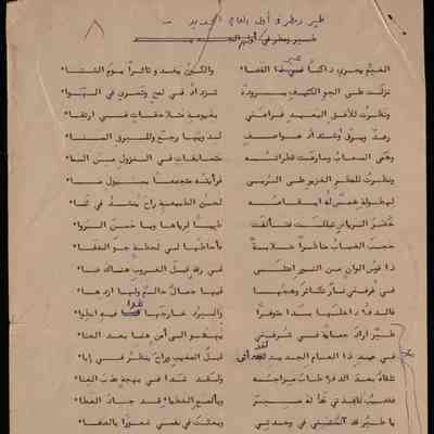 طير ومطر في اول العام الجديد