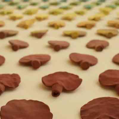 عمل فيرا تماري