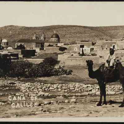 صورة- فضيل سابا