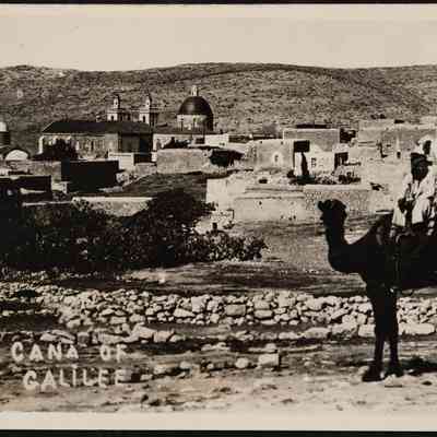 صورة- فضيل سابا