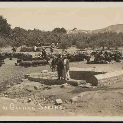 صورة - كريمة عبود