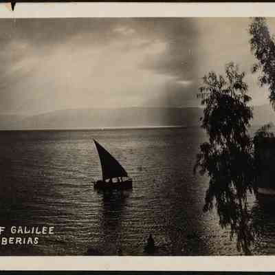 صورة - فضيل سابا