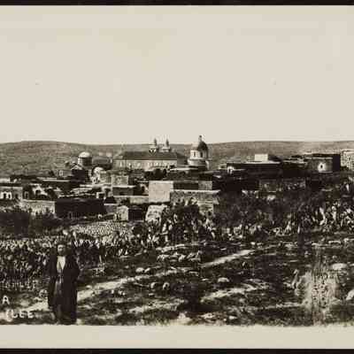 صورة- فضيل سابا