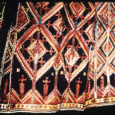 صورة - نبيلة النشاشيبي