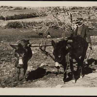 صورة - كريمة عبود