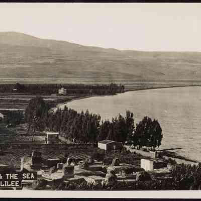 صورة - فضيل سابا