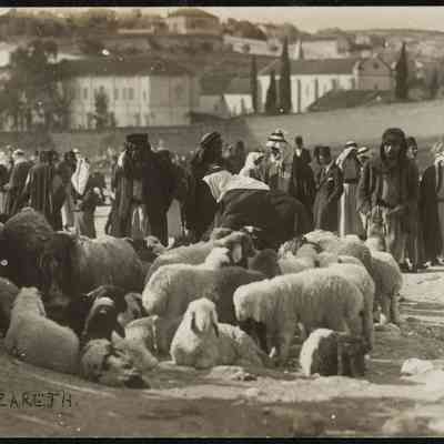 صورة - كريمة عبود