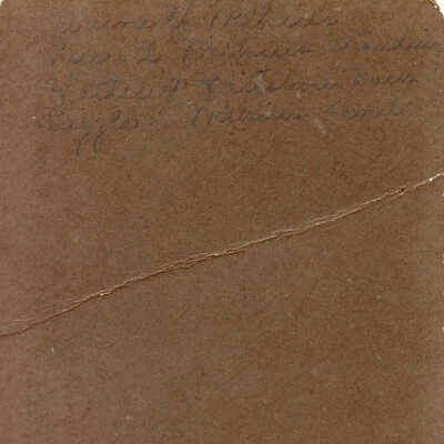 Verso: Aaron M. Wilkins/Lucy A. Wilkins-standing/Hattie M. Harshorn-back/Lizzie L. Wilkins-front