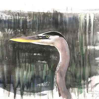 Great Blue Heron, Great Meadows, May '95