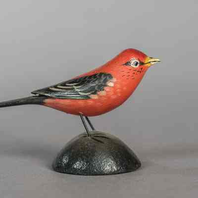 Untitled [Scarlet Tanager]
