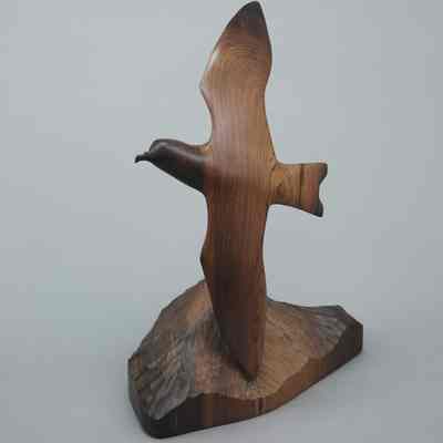 Leach's Storm-petrel