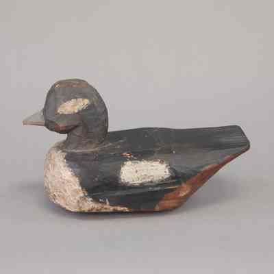 Untitled [Bufflehead Hen]