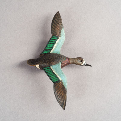 Untitled [Blue-winged Teal Drake]