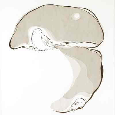 Arctic Hare, Snowy Owl