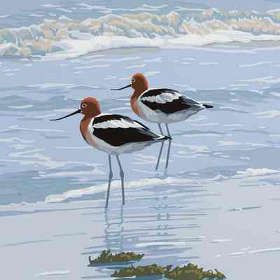 Ebb Tide--Holly Beach