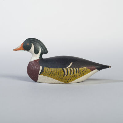 Untitled [Wood Duck]