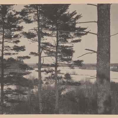 Knoll southeast of Bensen's house, Concord, Massachusetts