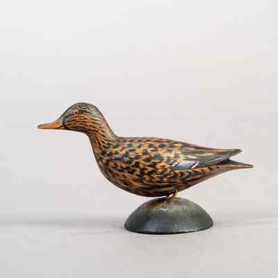 Untitled [Mallard Hen]