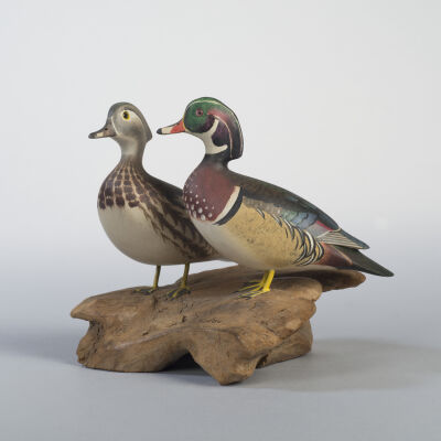 Wood Duck